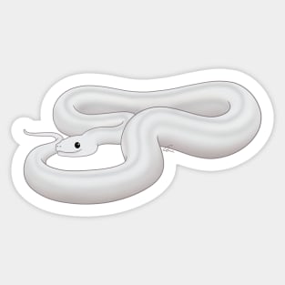 Leucistic Boa Constrictor or Super Fire Boa Sticker